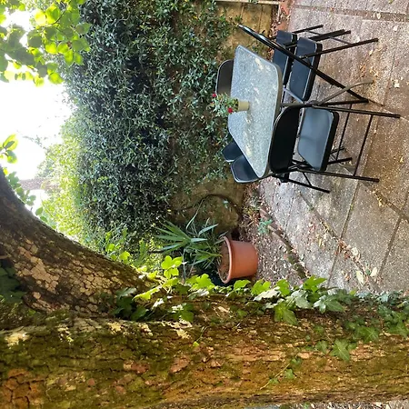 Classic Florentine Flat With Garden * Florence